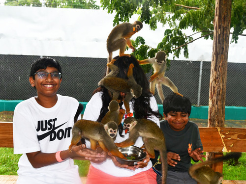 Taino Bay Squirrel Monkey Encounter and 8 Zip Lines Excursion 