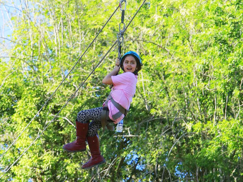 Taino Bay Squirrel Monkey Encounter and 8 Zip Lines Excursion 