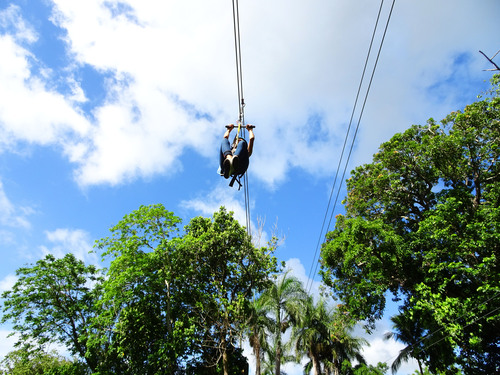 Taino Bay Squirrel Monkey Encounter and 8 Zip Lines Excursion 