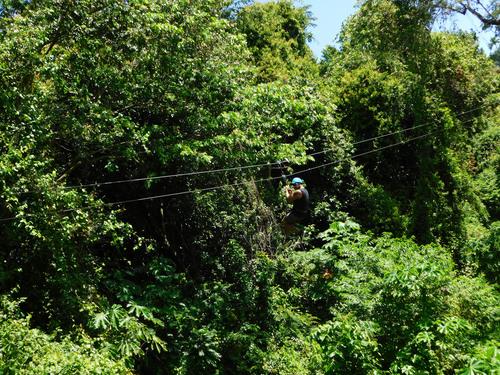 Taino Bay Squirrel Monkey Encounter and 8 Zip Lines Excursion 