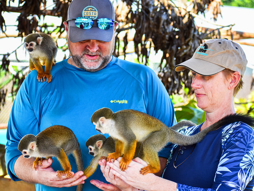 Taino Bay Squirrel Monkey Encounter and 8 Zip Lines Excursion 