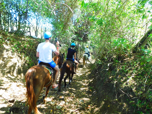 Taino Bay Squirrel Monkey Encounter and Horseback Riding Excursion
