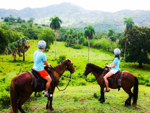 Taino Bay Squirrel Monkey Encounter and Horseback Riding Excursion