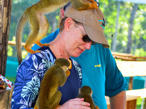 Taino Bay Squirrel Monkey Encounter and Horseback Riding Excursion
