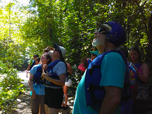 Taino Bay Tropical Forest Trek and Natural Pool Swimming Excursion