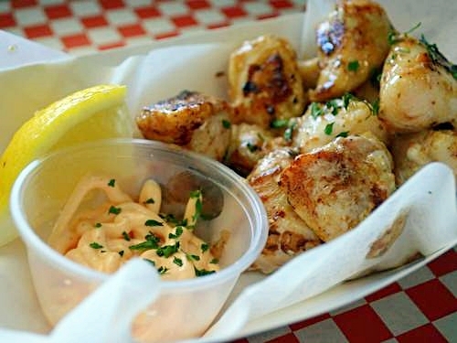 Fort Lauderdale  Florida felines Excursion Booking