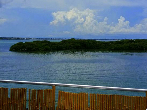Tampa  US clearwaters cruise Tour Reviews
