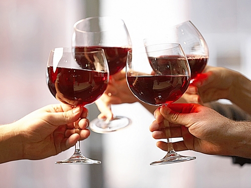 Ensenada wine tasting Trip