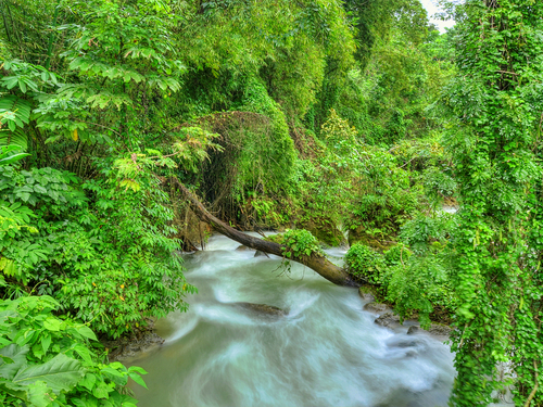 Montego Bay  Jamaica bengal falls Tour