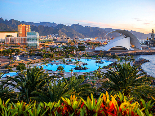 Tenerife Avda. Tres de Mayo Bus Cruise Excursion Cost