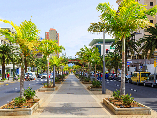 Tenerife  Canary Islands Plaza De Pedro Schwartz / Weyler Bus Tour Tickets