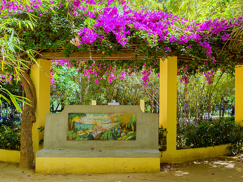 Tenerife Mercado Nuestra Sra. de Africa Bus Cruise Excursion Reservations