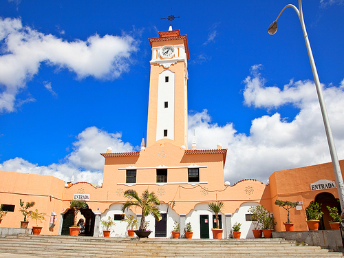 Tenerife Plaza de España Bus Shore Excursion Cost