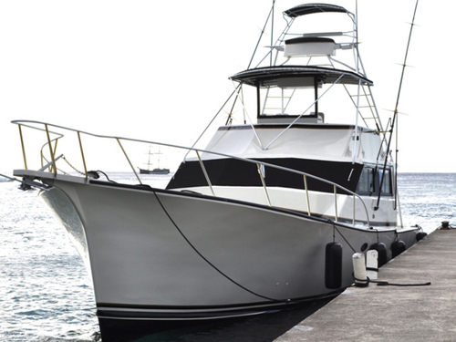 Grand Cayman  Grand Cayman (George Town) reef fishing Cost