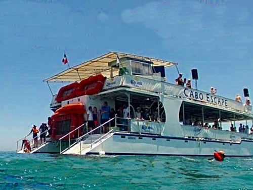 Los Cabos party cruise Tour Booking