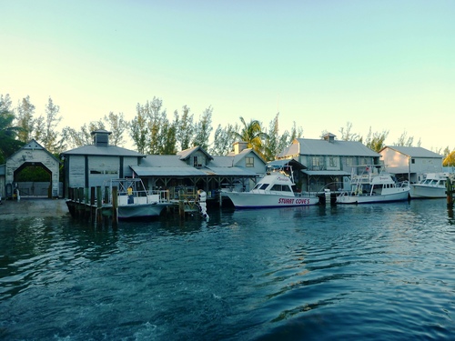 Nassau colorful coral formations Prices