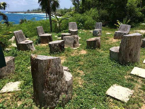 Grand Cayman Cayman Islands sightseeing Tour Booking