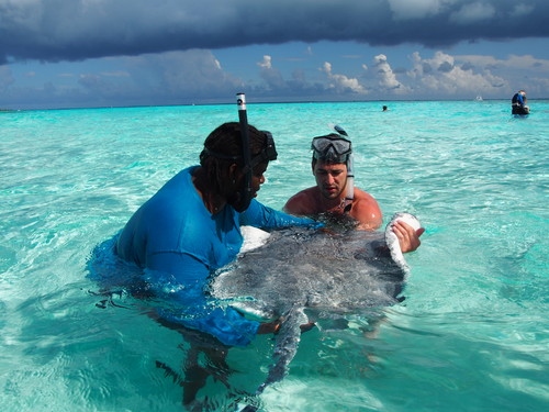 Grand Cayman turtle conservation Excursion Prices