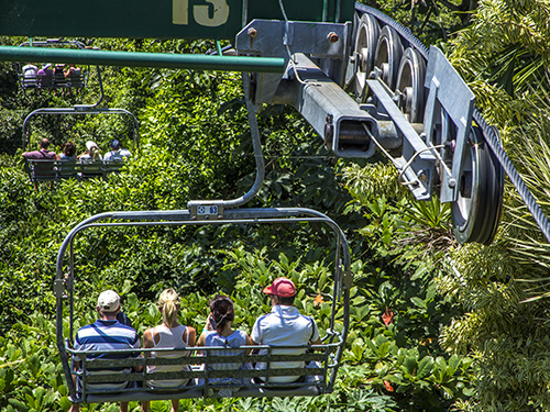 Ocho Rios bobsled ride Cruise Excursion Tickets