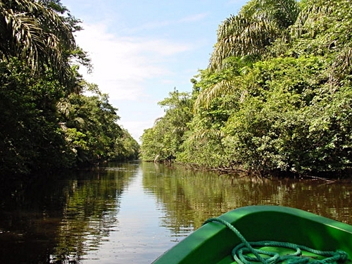 Puerto Limon  Costa Rica Banana Plantation  Booking