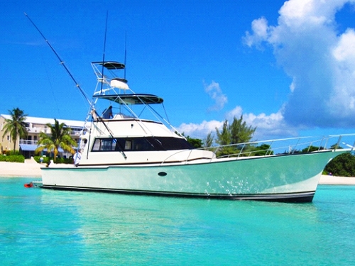 Grand Cayman  Grand Cayman (George Town) deep sea fishing Trip