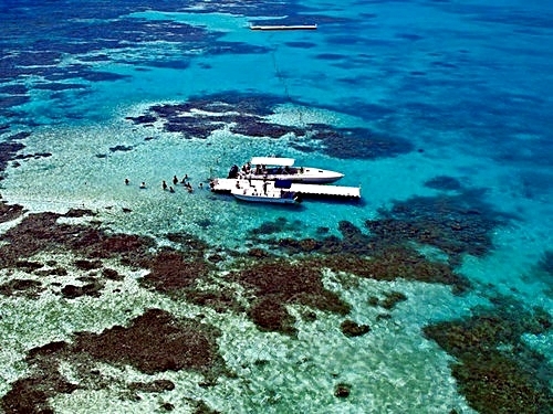 St. Johns Antigua stingray snorkel Shore Excursion Reservations