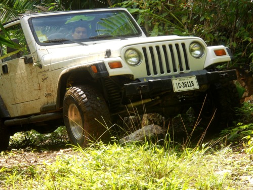 Belize City jungle jeep Trip Reviews