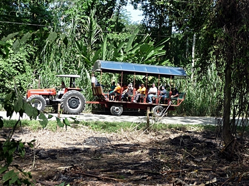 Puerto Limon Rain Forest Cruise Excursion