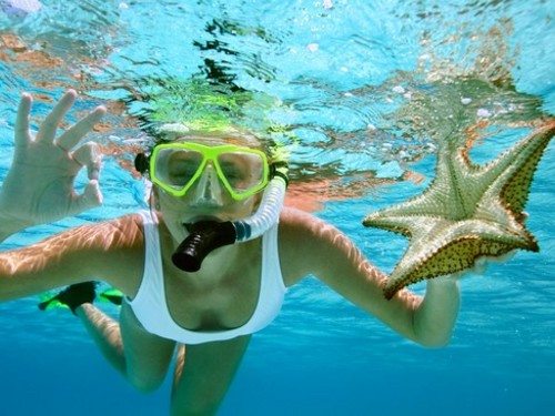 Cozumel lunch Prices