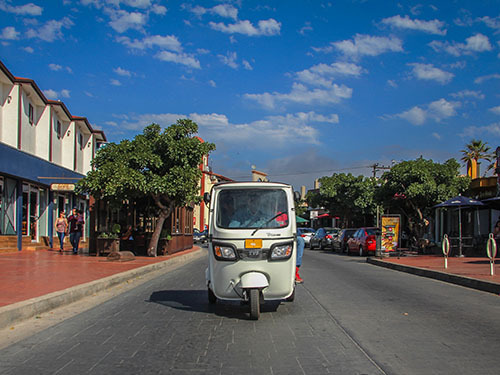 Ensenada tuk tuk Cruise Excursion Reviews