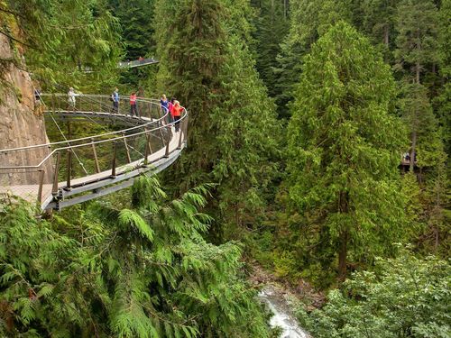 Vancouver  British Columbia Capilano Suspension Bridge Park Cruise Excursion Cost