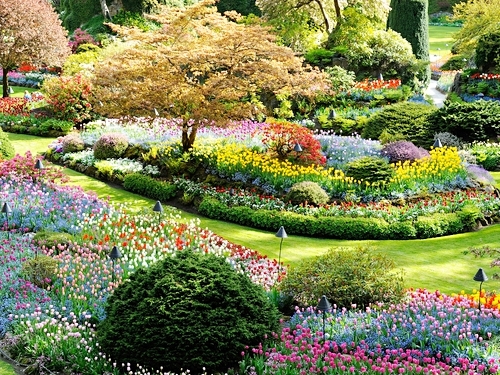 British Columbia Butchart Gardens Tour Cost