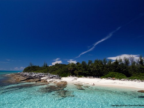 Nassau snuba and snorkel Trip Tickets