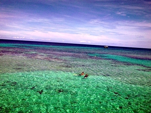 Roatan Honduras beach resort Cruise Excursion Booking