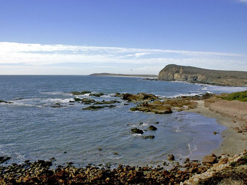 Mazatlan  Mexico wolf island Excursion Tickets