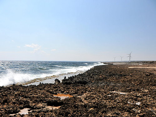 Curacao  Willemstad Suplado Tour Tickets