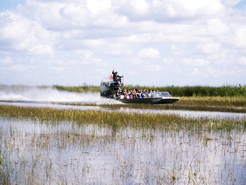 Fort Lauderdale  Florida aligators Cruise Excursion Cost