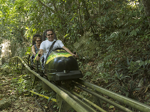 Ocho Rios Hummingbird Garden Tour Cost