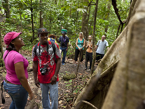 St. Lucia (Castries)  rainforest Excursion Reviews