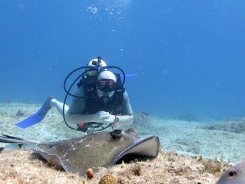 St Maarten discover scuba dive Cost