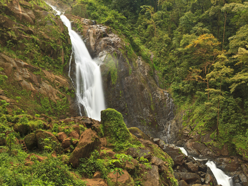 Puerto Caldera Costa Rica rainforest Tour Reviews