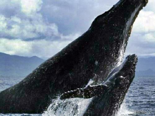 Cabo San Lucas  Mexico Lovers Beach Booking
