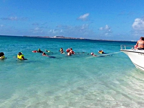 Grand Turk Turks and Caicos wall snorkeling Trip Reviews