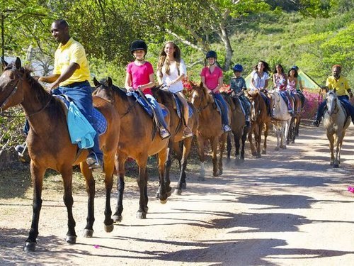 Ocho Rios  Jamaica ride horse in ocean Prices