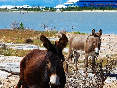 Grand Turk sightsee Tour Booking
