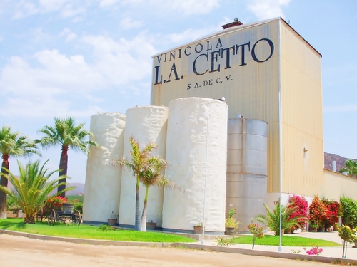 Ensenada Mexico winery Prices