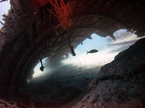 Roatan boat Diving Trip Cost