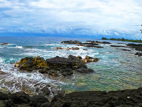 Hilo  Hawaii beach snorkel Cruise Excursion Reviews