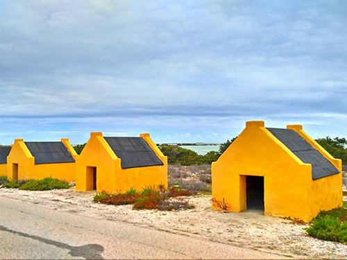 Bonaire  Leeward Antilles flamingos Shore Excursion Reviews