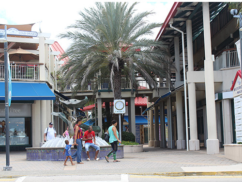 Grand Cayman Cayman Islands flip flop Cruise Excursion Reservations